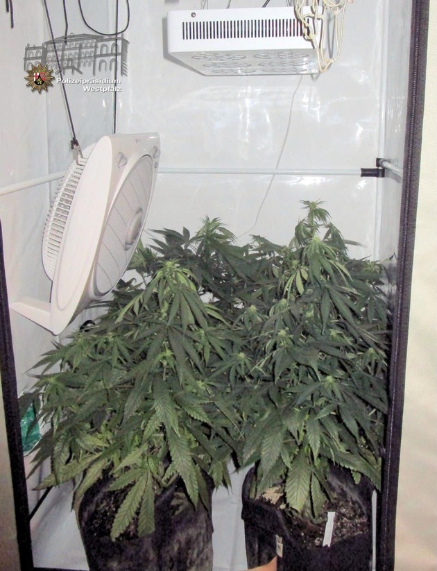 POL-PPWP: Drogenfahnder heben Indoor-Plantage aus