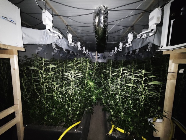 POL-UN: Bergkamen - Polizei entdeckt Cannabisplantage in Lagerhalle