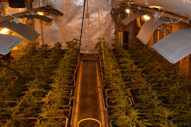 POL-AUR: Ermittlungserfolg: Drogenplantage mit mehr als 500 Pflanzen beschlagnahmt