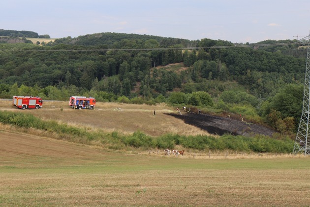 FW VG Asbach: Flächenbrand bei Dinkelbach: 1.200 Quadratmeter Gebüsch und Wiese brennen