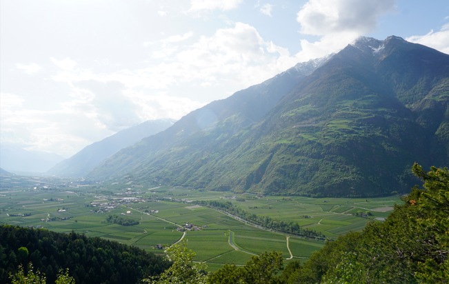 Studie zeigt: Pestizid-Ausbreitung im Vinschgau vom Tal bis in die Gipfelregion / Selbst in Schutzgebieten nachweisbar
