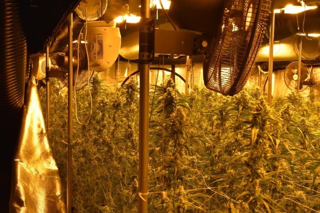 POL-W: RS Cannabis-Plantage in Remscheid - drei Verdächtige festgenommen - Gemeinsame Presseerklärung von Staatsanwaltschaft und Polizei