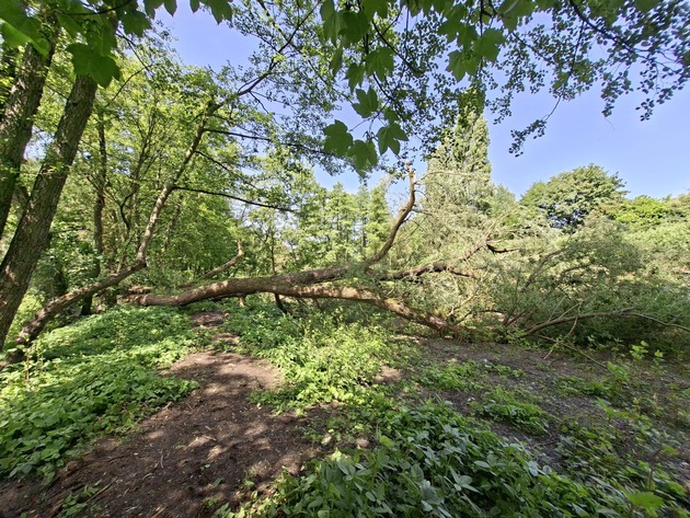FW-EN: Wetter - bisher fünf Einsätze an Pfingsten