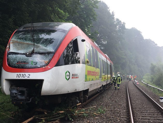 FW Mettmann: Zug kollidiert mit umgestürztem Baum