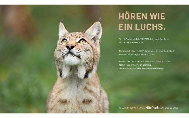 Hören wie ein Luchs: HörPartner übernehmen Patenschaft für Luchs-Familie im Wildpark Schorfheide