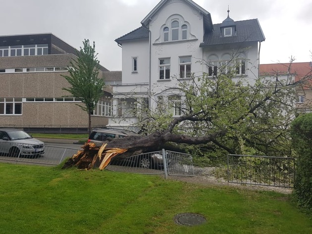 POL-HM: Baum fällt vom Grundstück auf die Straße - PKW und Stahlzaun beschädigt