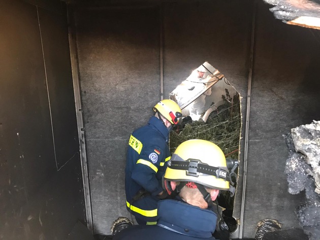 POL-DO: Nach Brand in Werkstatt - Polizei entdeckt Hanfplantage