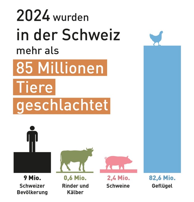 Meat Exhaustion Day: In der Schweiz wurden 2024 über 85 Millionen Tiere geschlachtet