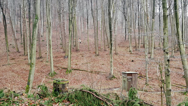 POL-HM: Nachtragsmitteilung zur Meldung &quot;52-jähriger Mann aus Bad Münder vermisst&quot;: Vermisster tot im Wald aufgefunden