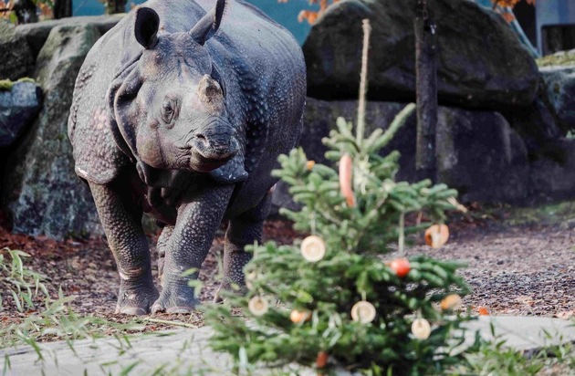 Verband der Zoologischen Gärten (VdZ): "Mach-einen-Zoobesuch-Tag" weckt Abenteuerlust nach den Feiertagen / Verband der Zoologischen Gärten lädt zum Zoobesuch auch im Winter