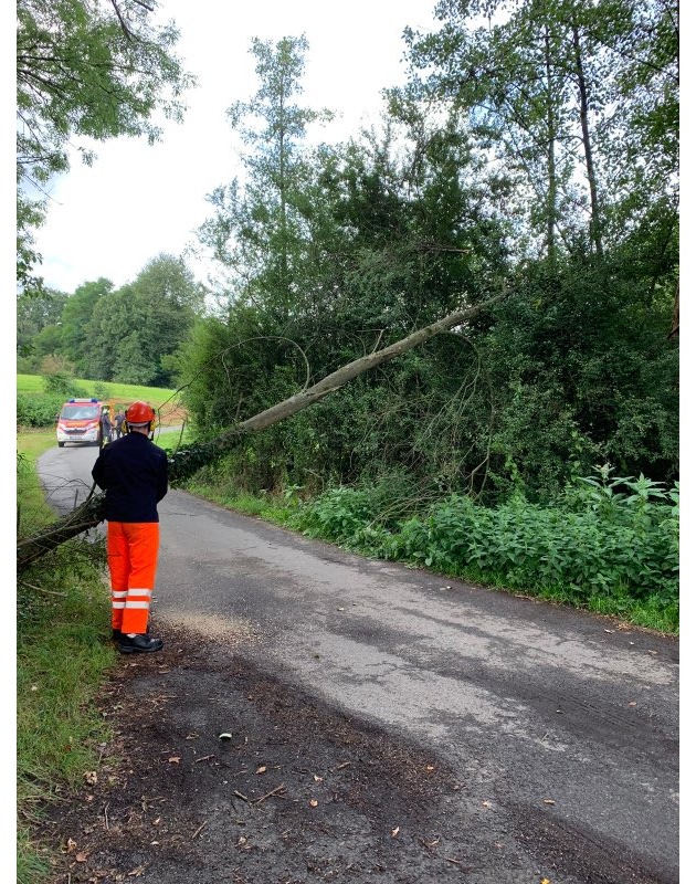 FW-EN: Feuerwehr Wetter -Personenrettung über Drehleiter und umgestürzter Baum