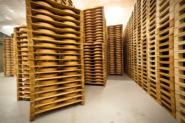 Neue Sandsteinhöhle für 35&#039;000 Gruyère-AOC-Laibe