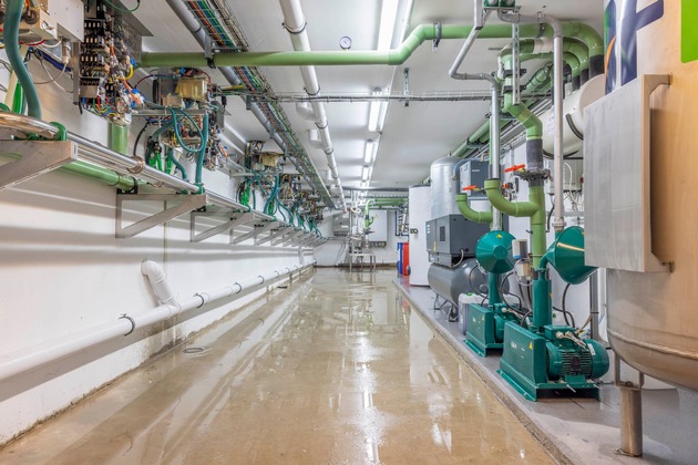 Fixed milking times, clear processes: Batch milking with the GEA DairyRobot R9600 series