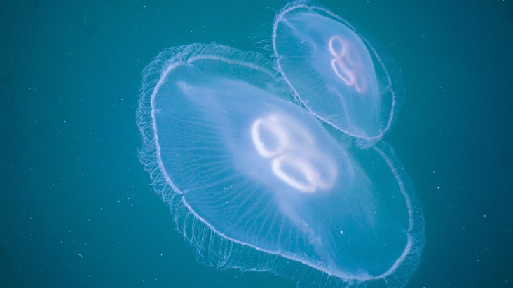 HKB-Forschungsap&eacute;ro 2026