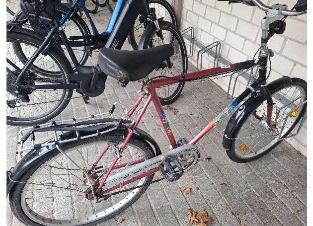 POL-EL: Surwold - Eigentümer/in gesucht