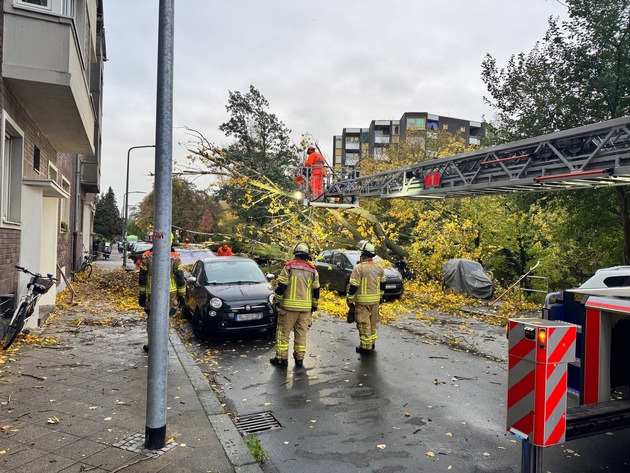 FW-D: Sturmböen über Düsseldorf: 50 Meter Baum stürzte auf neun geparkte Fahrzeuge