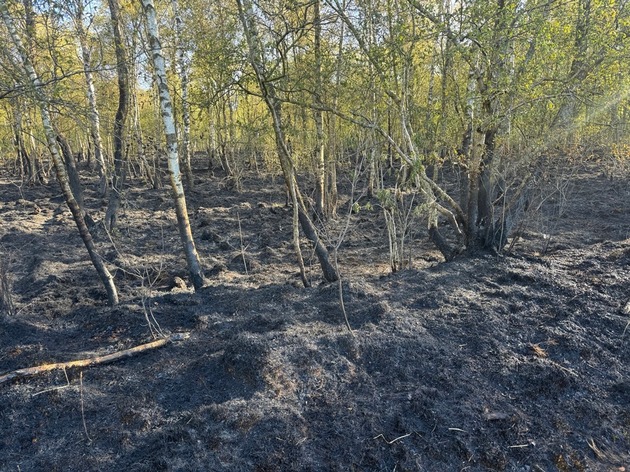 FW-SE: Einsatzkr&auml;fte bei gr&ouml;&szlig;erem Wald- und Moorbrand gefordert