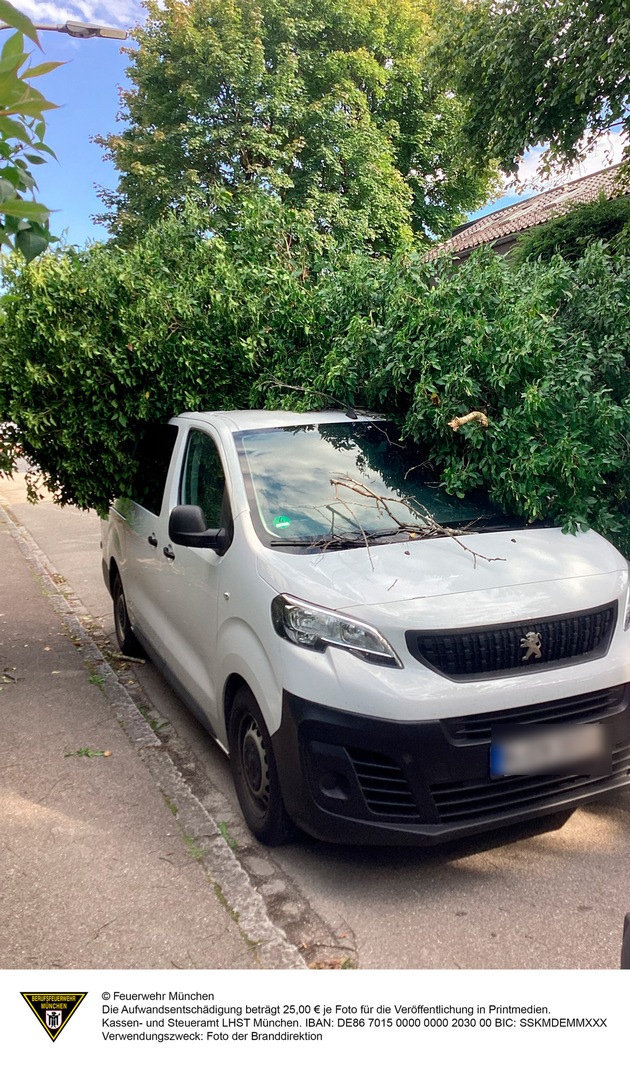 FW-M: Umgestürzter Baum erfordert schweres Gerät (Lochhausen)