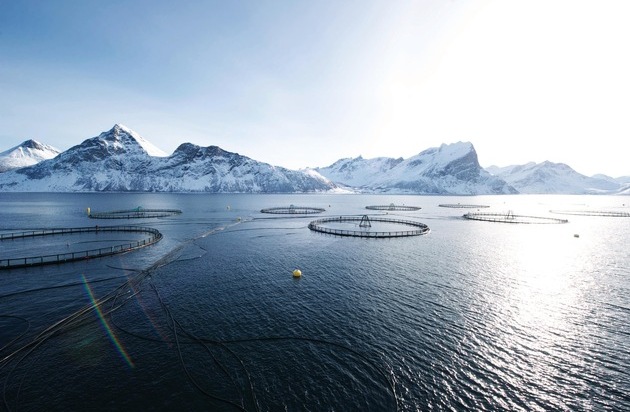 Seafood from Norway: Gesund und lecker: Norwegischer Zuchtlachs ist Testsieger bei Stiftung Warentest