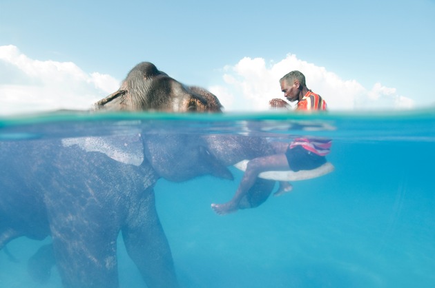 NATIONAL GEOGRAPHIC präsentiert neue Fotoausstellung: &quot;Phänomenal!&quot; / Ausstellungspremiere vom 2. bis 4. Februar 2018 auf der MUNDOLOGIA in Freiburg