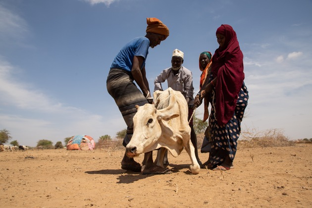 Äthiopien leidet unter einer katastrophalen Dürre - HEKS leistet Nothilfe für 500 000 Franken