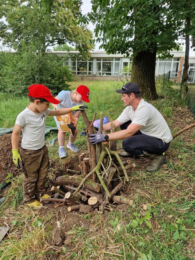 Deutschland summt!-Pflanzwettbewerb startet heute