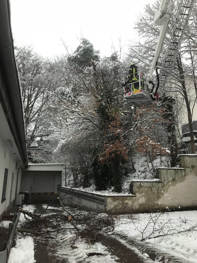 FW-HAAN: Mehrere Bäume brechen unter Schneelast