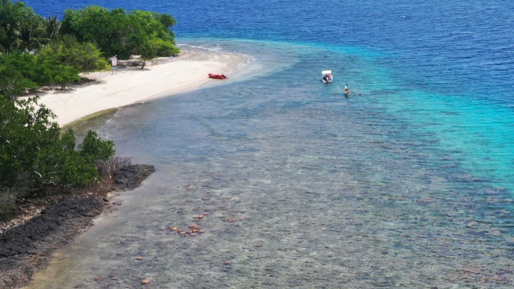 Projektstart zur Wiederbelebung von Korallen und Mangroven auf den Philippinen
