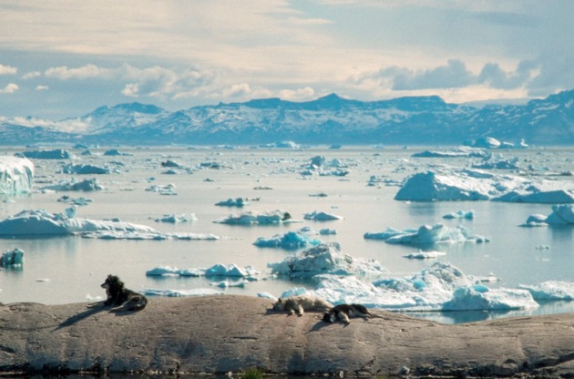 Themenabend am 28. Juli: Klimawandel - Menschenwandel