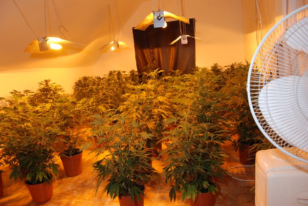 POL-NOM: Cannabisplantage entdeckt - Bilder im Anhang
