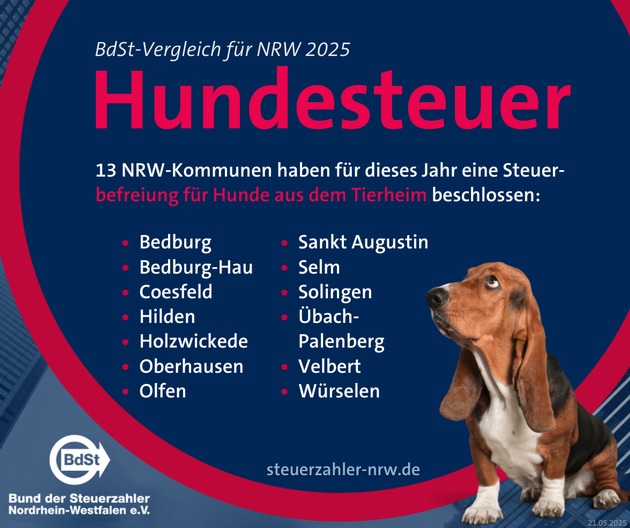 Hundesteuer 2025: 37 Kommunen erhöhen – BdSt fordert Abschaffung