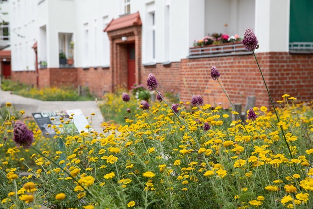 Welttag der biologischen Vielfalt 2022: Junge Menschen können überall was für Bienen & Co. tun!