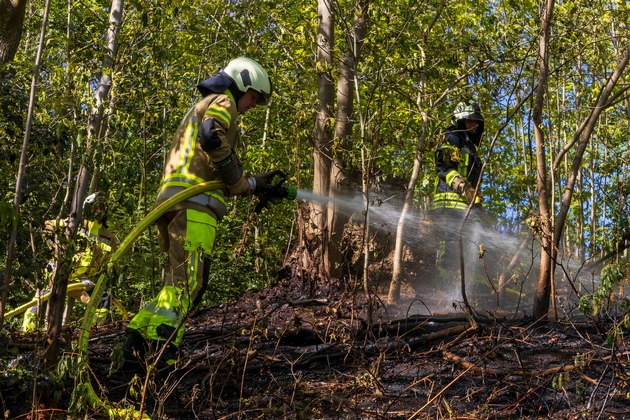 FW-MK: Fl&auml;chenbrand am "L&uuml;nkerhohl"