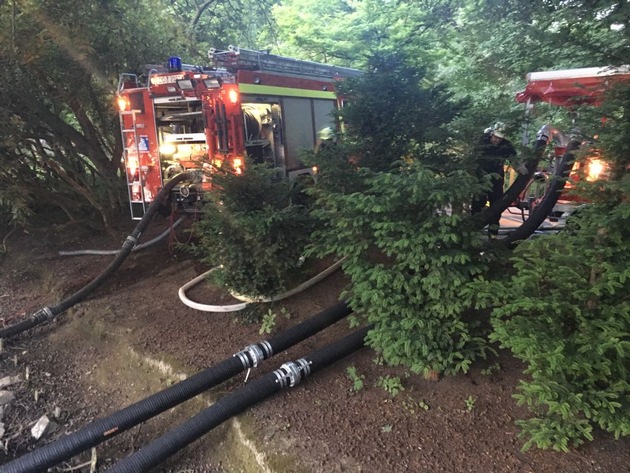 FW-DO: Ungewöhnlicher Einsatz für die Feuerwehr //
Biotop mit Sumpfpflanzen im Rombergpark durch niedrigen Wasserstand bedroht