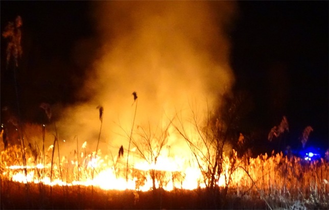 FW Reichenau: Schilfbrand am Fährenhorn schnell gelöscht, Reichenau-Oberzell, 23.03.2025