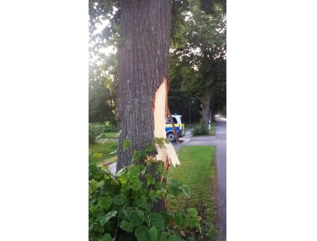 POL-SE: Neuendeich/ K 19 - Fahrzeug prallt gegen Baum und entfernt sich vom Unfallort - Polizei sucht flüchtigen Unfallverursacher