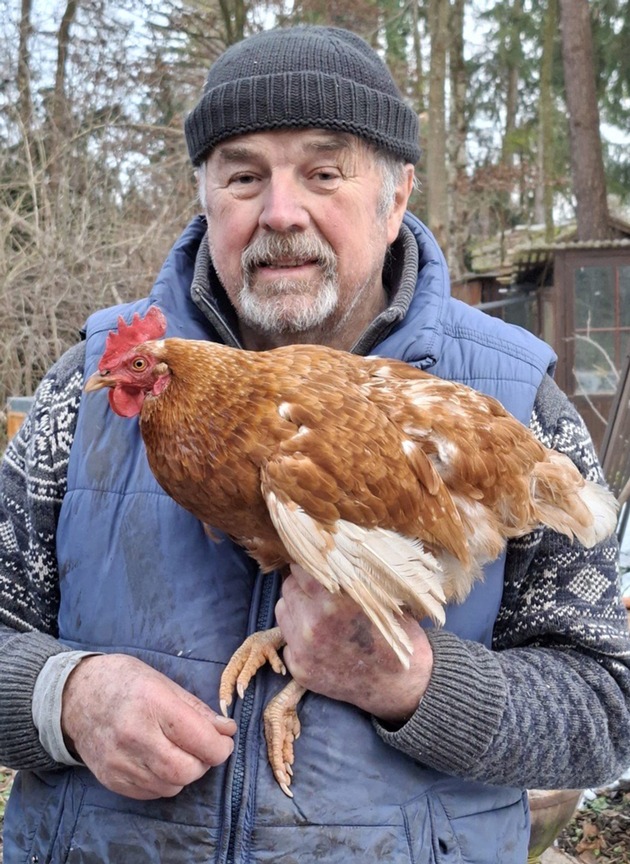 Tierische Marotte: entlaufenes Huhn "Henrietta" trampt gern / Gerhard Wendl vom Vogelnotruf in Olching im Gespr&auml;ch mit SWR3 / Happy End: Besitzerin identifiziert Huhn mittels Fotovergleich