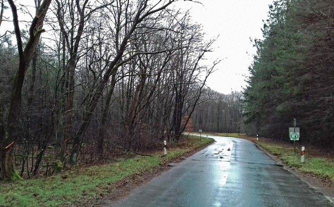 DBU-Naturerbefläche Elmpt: Bundesforst entnimmt Bäume entlang der Straßen – stufiger Waldrand geplant