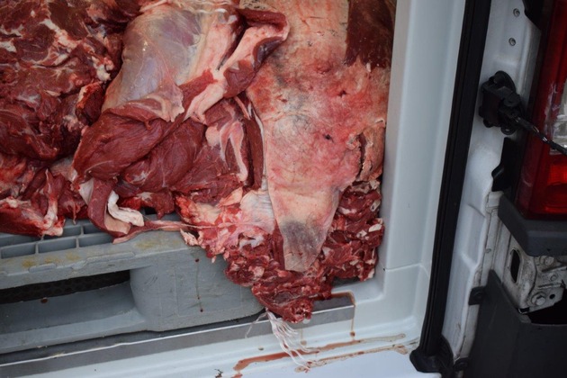 POL-HI: Fleischtransporter aus dem Verkehr gezogen