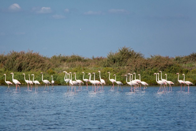 Lissabon im Herbst erleben: Naturparadiese, Vogelzug und wilde Atlantikküste