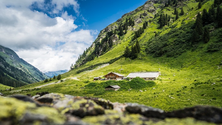 Sommer in Vorarlberg: Jeden Moment genießen - BILD/VIDEO