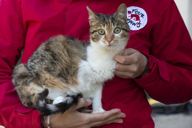 Léguer un avenir meilleur aux animaux