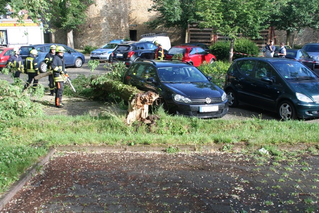 POL-PDKL: Umgestürzter Baum begräbt geparktes Fahrzeug unter sich