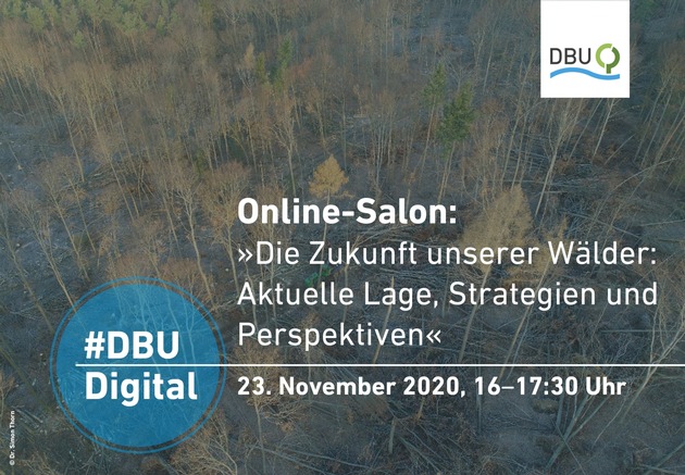 DBU-Online-Salon zur Zukunft des Waldes
