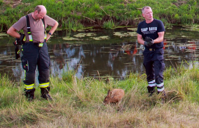 FW Lüchow-Dannenberg: +++Reh fällt in Kanal+++aufmerksamer Bürger alarmiert die Feuerwehr+++Reh mit Schlauchboot gerettet+++