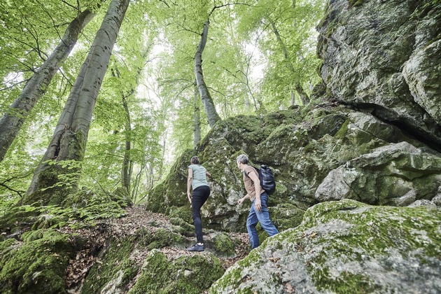 ADAC Umfrage zu Tagesausflügen in Hessen und Thüringen - Pressemeldung