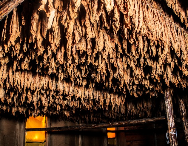 Die Oettinger Davidoff AG eröffnet neue Fabrik in Danlí, Honduras