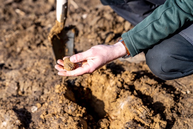 lavera Waldprojekt - 7500 neue B&auml;ume f&uuml;r die Bantorfer H&ouml;h