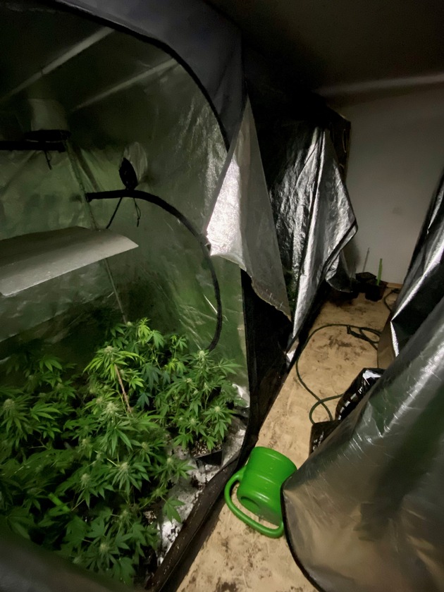 POL-NOM: Beschlagnahme einer Cannabis-Plantage