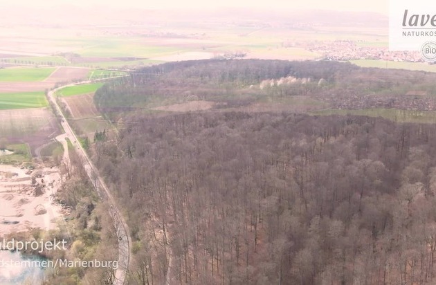 lavera forstet auf und sichert die Zukunft deutscher Wälder